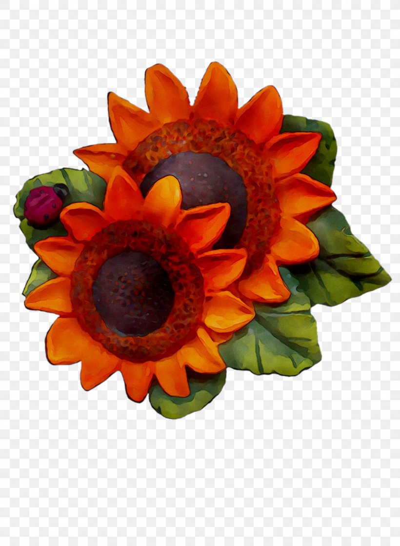 Transvaal Daisy Cut Flowers Sunflower Orange S.A., PNG, 1088x1485px, Transvaal Daisy, Artificial Flower, Cut Flowers, Daisy Family, Flower Download Free