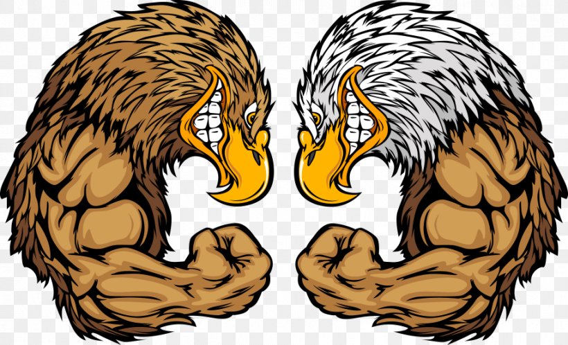 Bald Eagle Golden Eagle Cartoon, PNG, 914x556px, Bald Eagle, Beak, Big Cats, Bird, Bird Of Prey Download Free