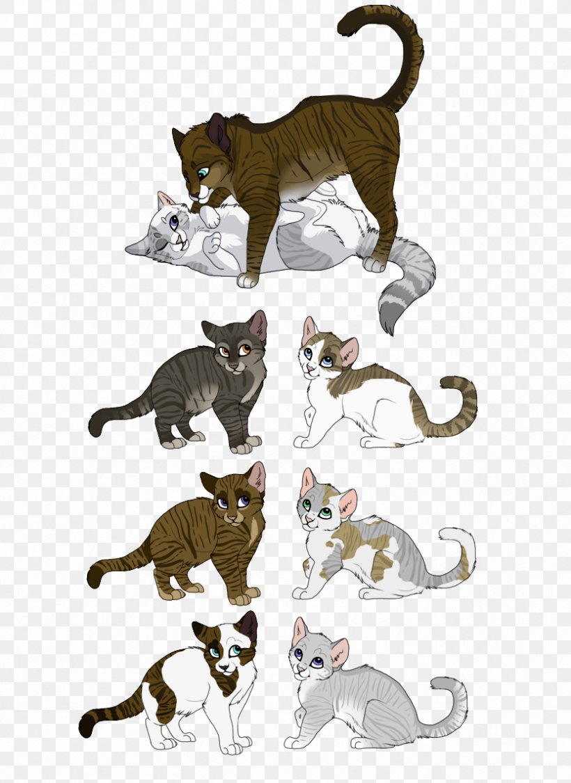 Ivypool Cat Drawing Warriors Dovewing, PNG, 833x1143px, Ivypool, Animal Figure, Art, Carnivoran, Cat Download Free