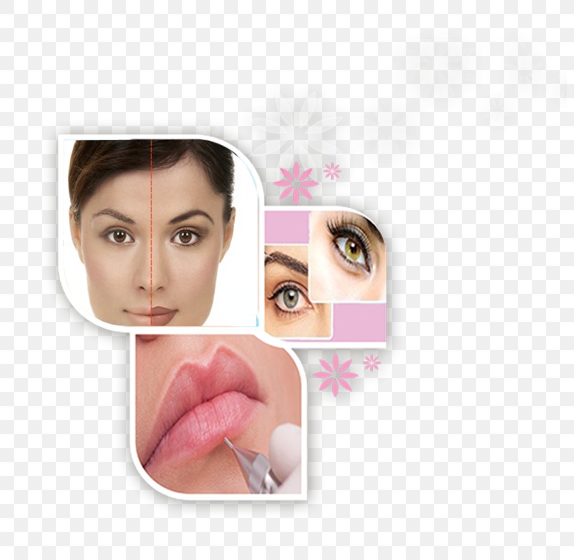 Kosmetikcentrum Eyebrow Cosmetics Beauty Tesla Model 3, PNG, 800x800px, Eyebrow, Beauty, Cheek, Chin, Cosmetics Download Free