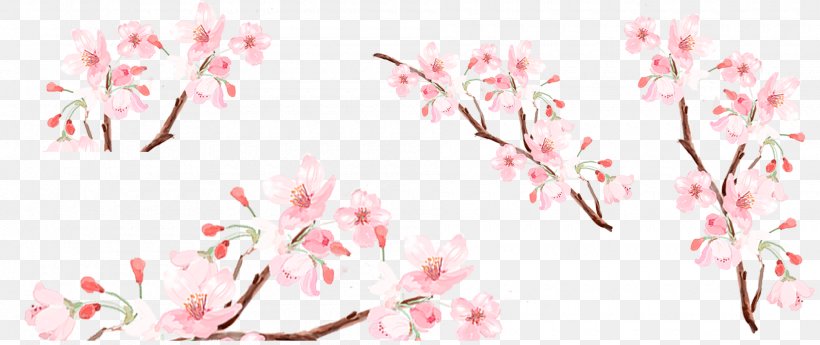 Peach Download, PNG, 1900x800px, Peach, Blossom, Branch, Cherry Blossom, Designer Download Free