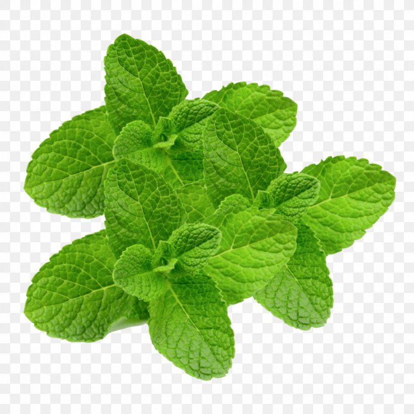 Peppermint Herb Juice Medicinal Plants Apple Mint, PNG, 1024x1024px, Peppermint, Apple Mint, Flavor, Food, Herb Download Free