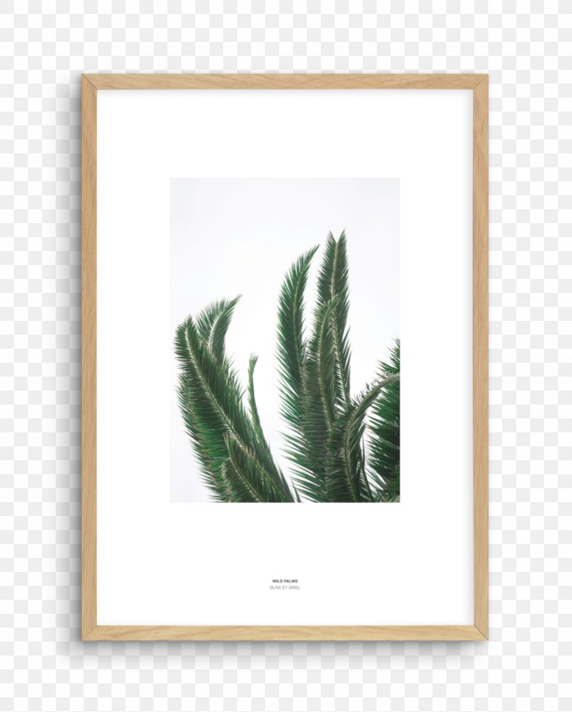 Picture Frames Fine-art Photography Fine-art Photography, PNG, 821x1023px, Picture Frames, Art, Beach, Coast, Com Download Free