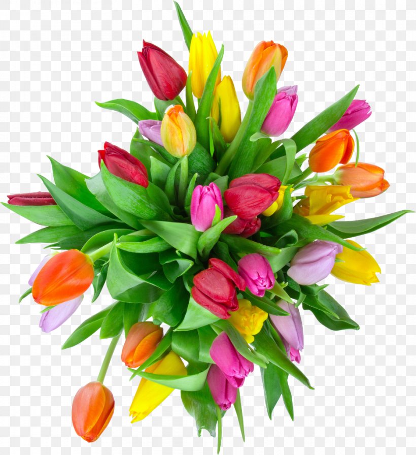 Tulip Photography Flower Bouquet, PNG, 937x1024px, Tulip, Alstroemeriaceae, Arena Flowers, Cut Flowers, Floral Design Download Free