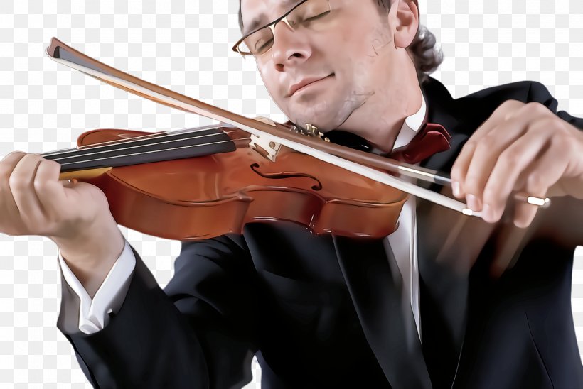 Violist Violinist Musical Instrument Violin Music, PNG, 2444x1636px, Violist, Fiddle, Music, Musical Instrument, String Instrument Download Free