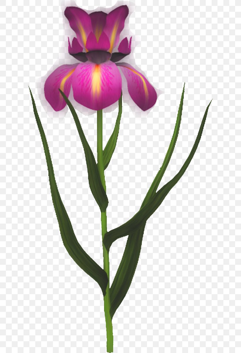 Cut Flowers Plant Stem Bud Violet Herbaceous Plant, PNG, 630x1200px, Cut Flowers, Bud, Family, Flower, Flowering Plant Download Free