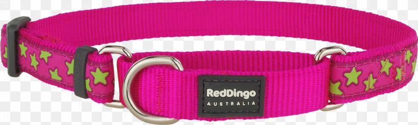 Dog Collar Clothing Accessories, PNG, 3000x902px, Dog Collar, Clothing Accessories, Collar, Dog, Fashion Download Free