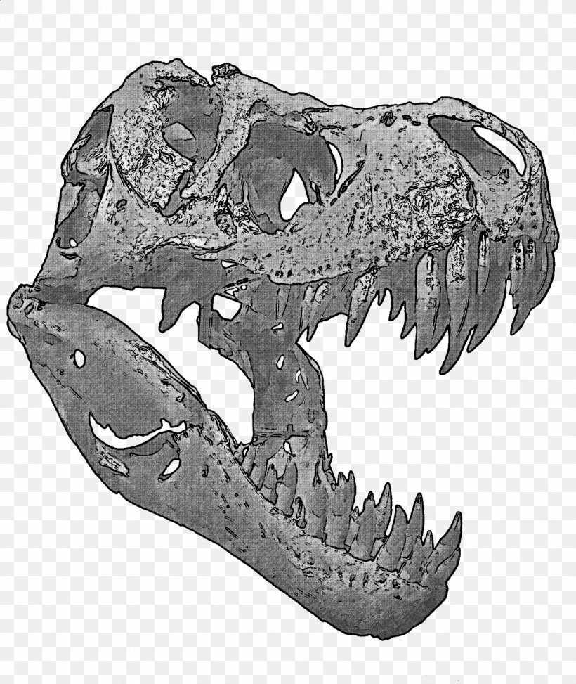 Tyrannosaurus The Dinosaur Skull Artbrands, PNG, 1280x1520px, Tyrannosaurus, Art, Black And White, Bone, Dinosaur Download Free