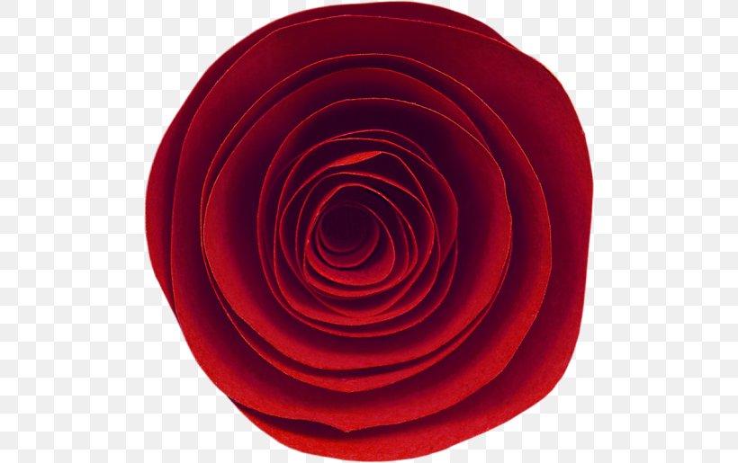Garden Roses Circle Spiral, PNG, 500x515px, Garden Roses, Flower, Garden, Petal, Red Download Free