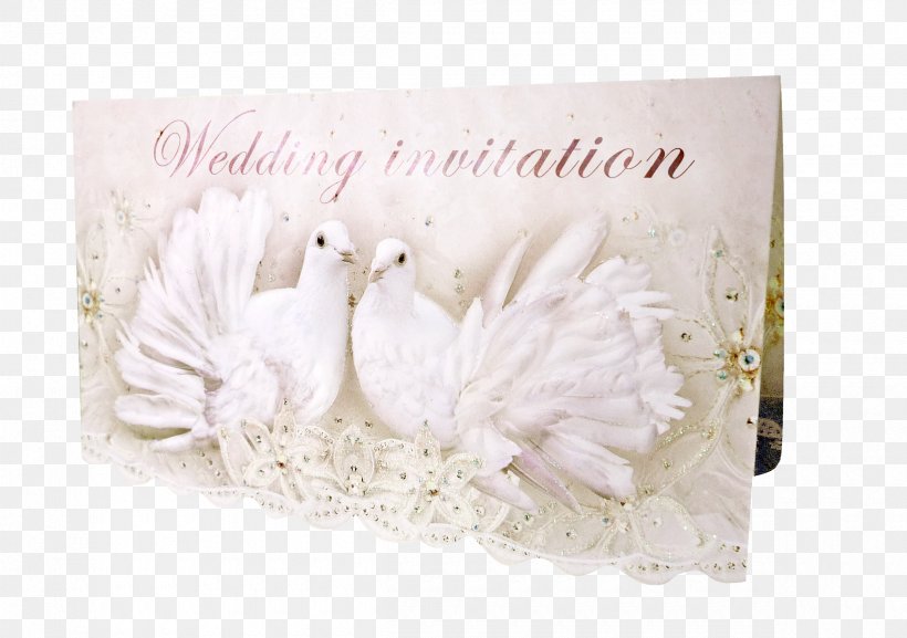 Paper Greeting & Note Cards Picture Frames Rectangle, PNG, 2400x1689px, Paper, Feather, Flower, Greeting, Greeting Card Download Free