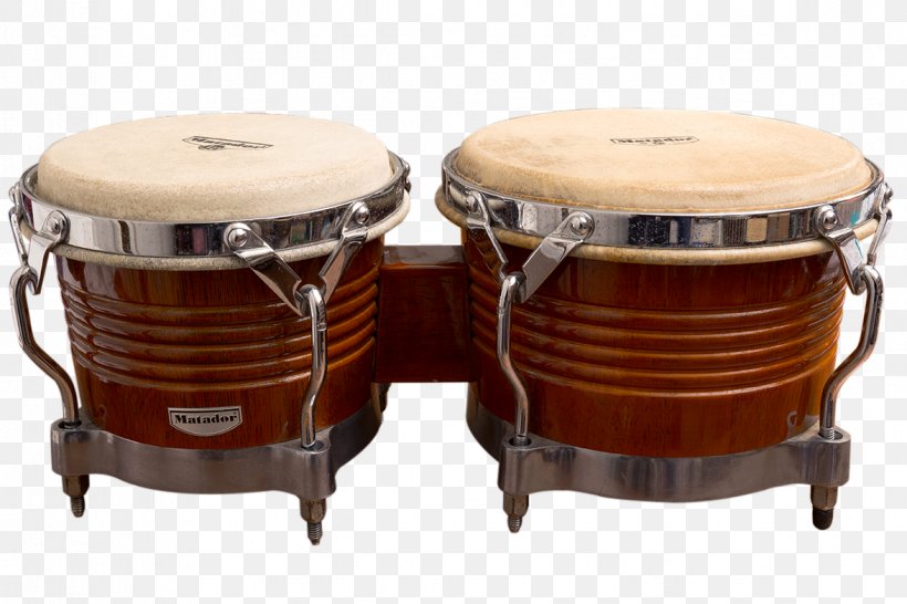 Tom-Toms Timbales Hand Drums Drumhead Snare Drums, PNG, 1175x783px, Tomtoms, Bongo Drum, Drum, Drumhead, Hand Download Free