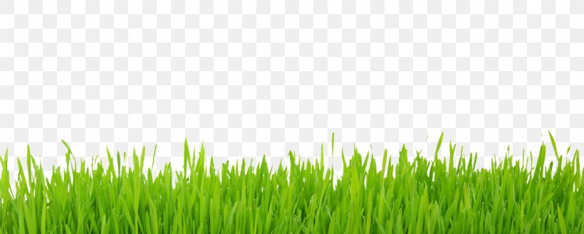 Lawn Yard Photography, PNG, 1221x491px, Lawn, Backyard, Commodity, Crop, Depositphotos Download Free