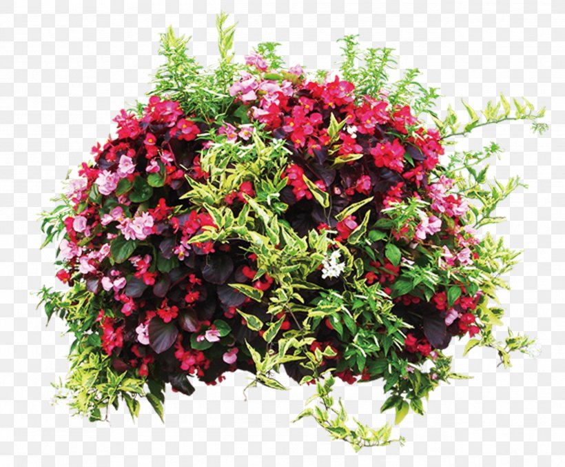 Flowerpot Plant Shrub, PNG, 2582x2134px, Flower, Annual Plant, Cut Flowers, Floral Design, Flower Arranging Download Free