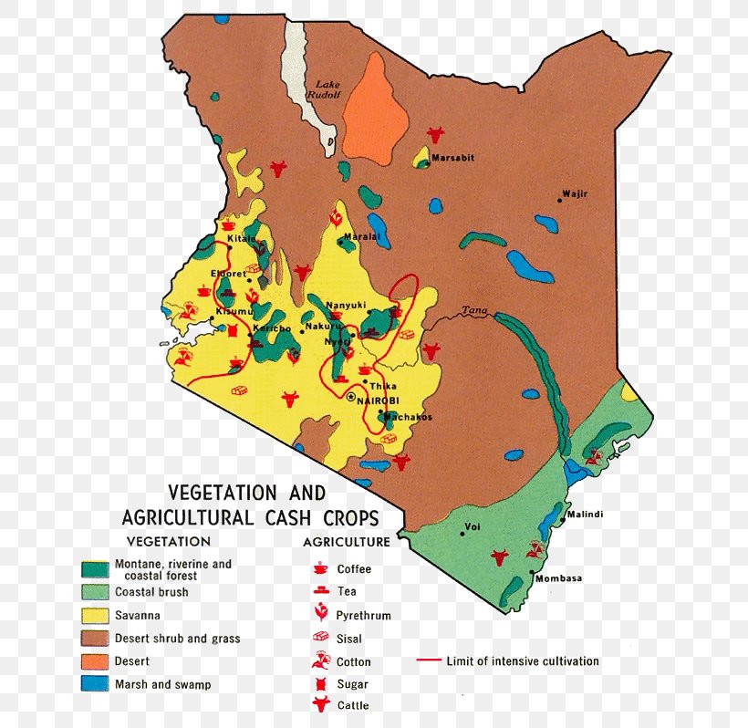 Kenya Mapa Polityczna Cash Crop Agriculture, PNG, 671x798px, Kenya, Africa, Agriculture, Area, Art Download Free