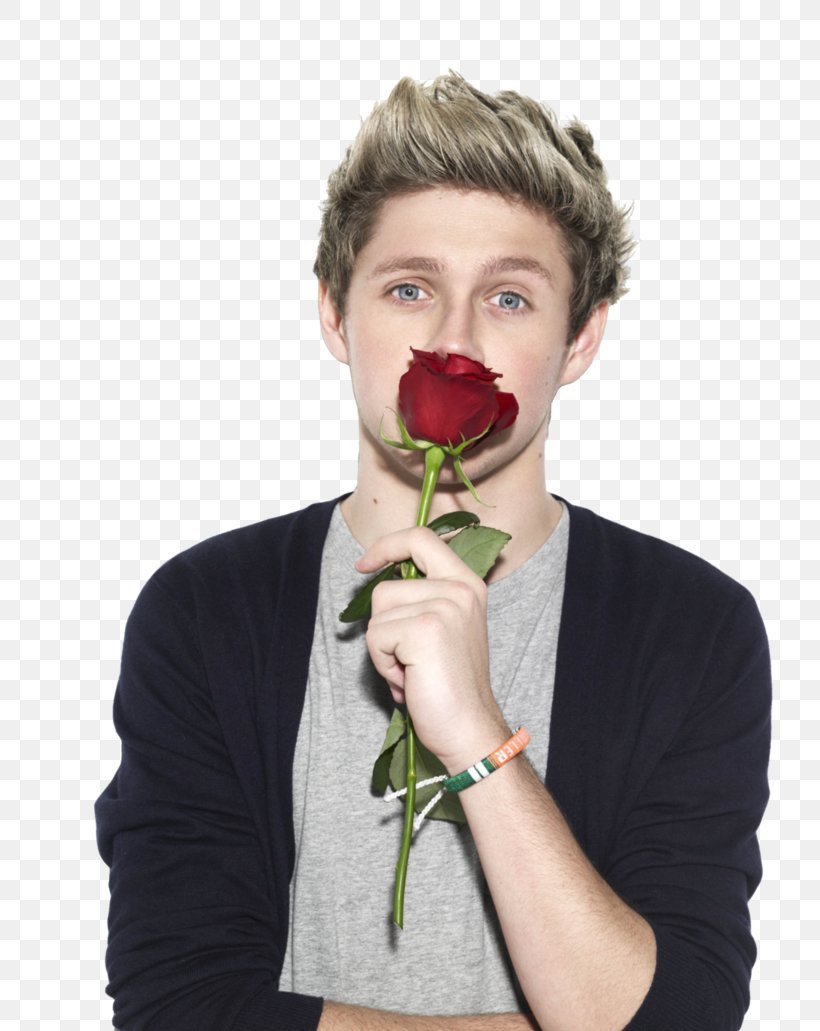 Niall Horan One Direction Photography Drag Me Down, PNG, 774x1031px, Watercolor, Cartoon, Flower, Frame, Heart Download Free