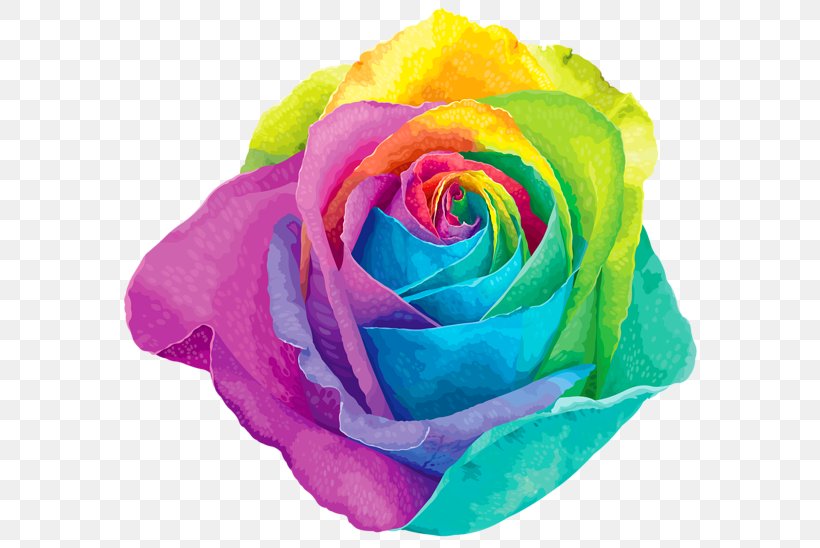 Rainbow Rose Flower Garden Roses Clip Art, PNG, 600x548px, Rainbow Rose, Blue Rose, Close Up, Color, Cut Flowers Download Free