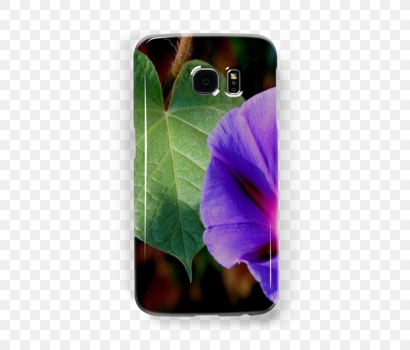 Samsung Galaxy IPhone IPad Mini Telephone, PNG, 500x700px, Samsung Galaxy, Apple Ipad Family, Flower, Flowering Plant, Ipad Mini Download Free