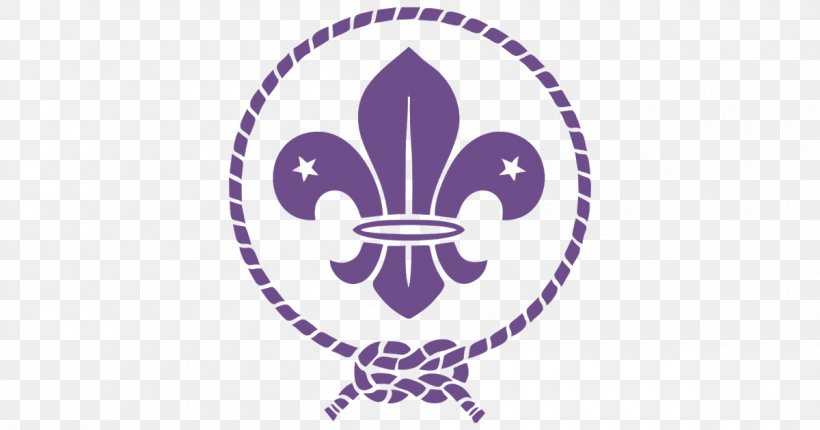 Scouting For Boys World Scout Emblem Boy Scouts Of America Fleur-de-lis, PNG, 1200x630px, Scouting For Boys, Boy Scouts Of America, Cub Scout, Fleurdelis, Girl Scouts Of The Usa Download Free