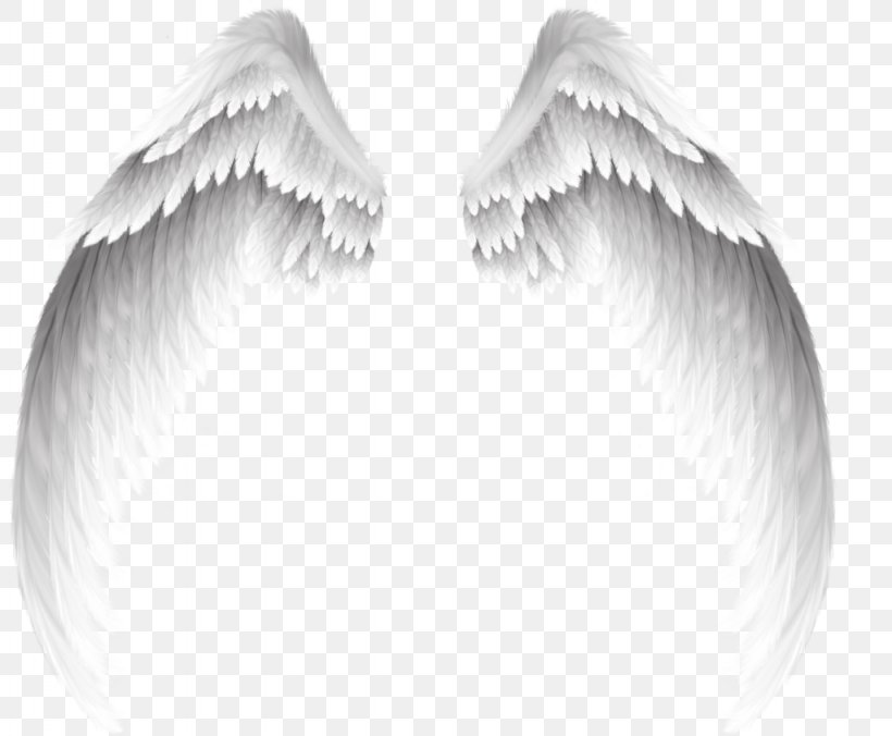 Angel Clip Art, PNG, 1024x845px, Photography, Black And White, Eyelash ...