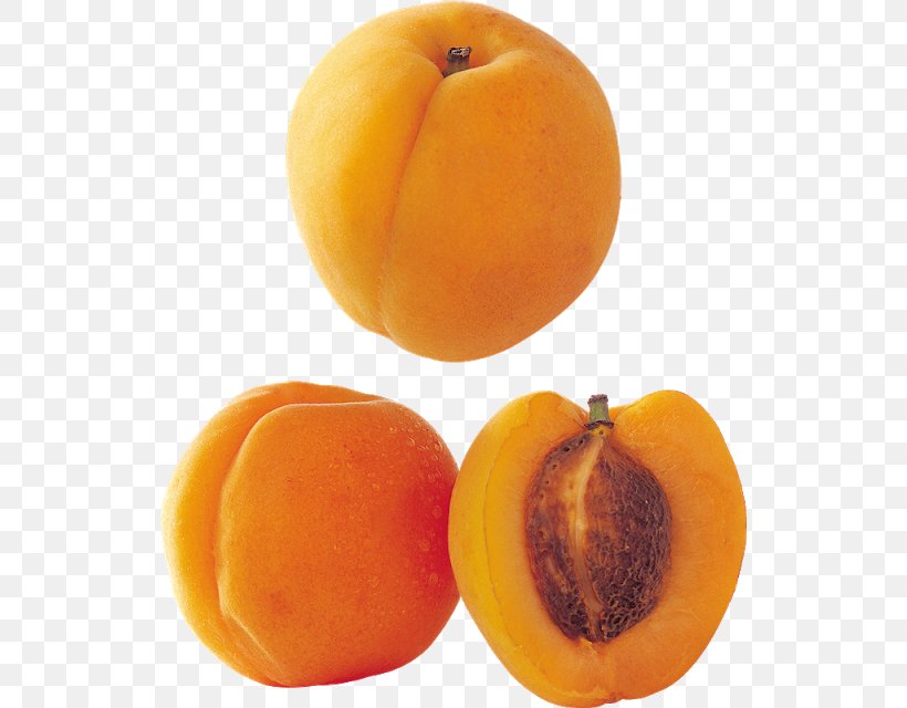 Apricot Fruit Longevity Peach Saturn Peach, PNG, 530x640px, Apricot, Auglis, Diospyros, Food, Fruit Download Free