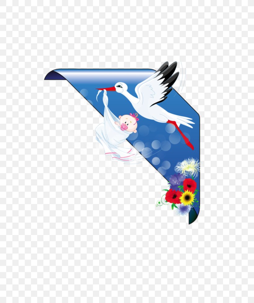 Bird Swallow Stork Gulls Columbidae, PNG, 730x980px, 23 February, Bird, Boots Uk, Columbidae, Fictional Character Download Free