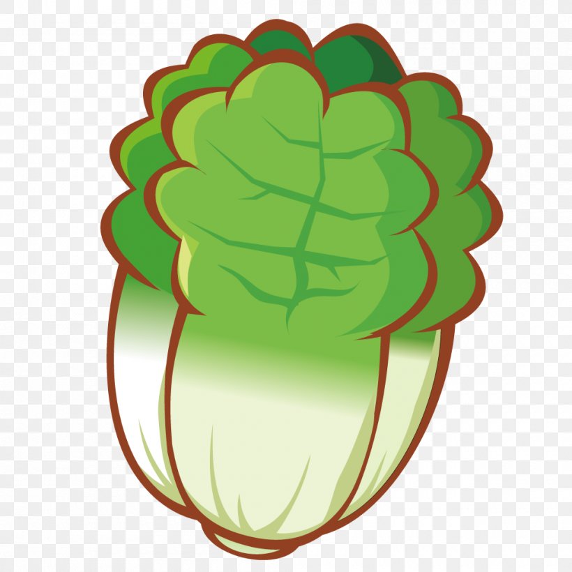 Cartoon Vegetable Drawing, PNG, 1000x1000px, Cartoon, Animation, Cabbage, Designer, Drawing Download Free