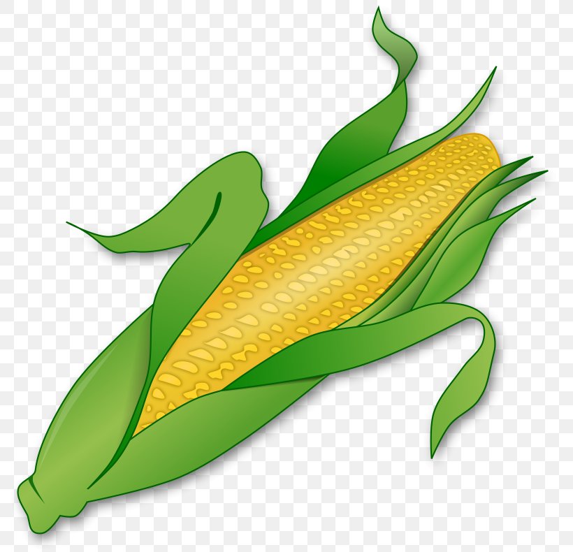 Corn On The Cob Corncob Maize Clip Art, PNG, 800x790px, Corn On The Cob, Commodity, Corncob, Drawing, Ear Download Free