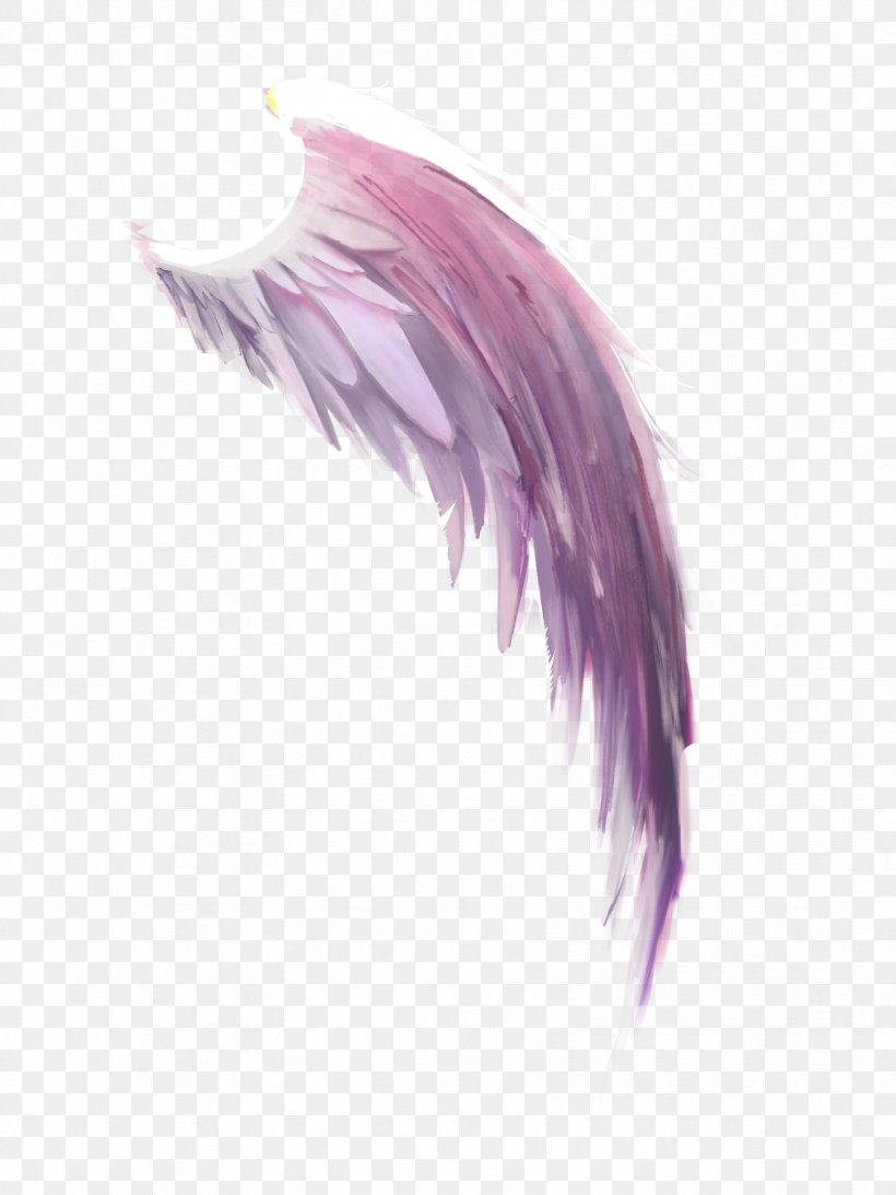 Purple, PNG, 1668x2224px, Purple, Feather, Violet, Wing Download Free