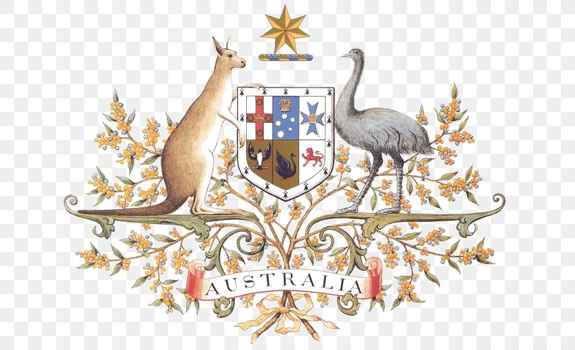 Coat Of Arms Of Australia National Symbols Of Australia Floral Emblem, PNG, 642x500px, Australia, Acacia Pycnantha, Coat Of Arms, Coat Of Arms Of Australia, Coat Of Arms Of New South Wales Download Free