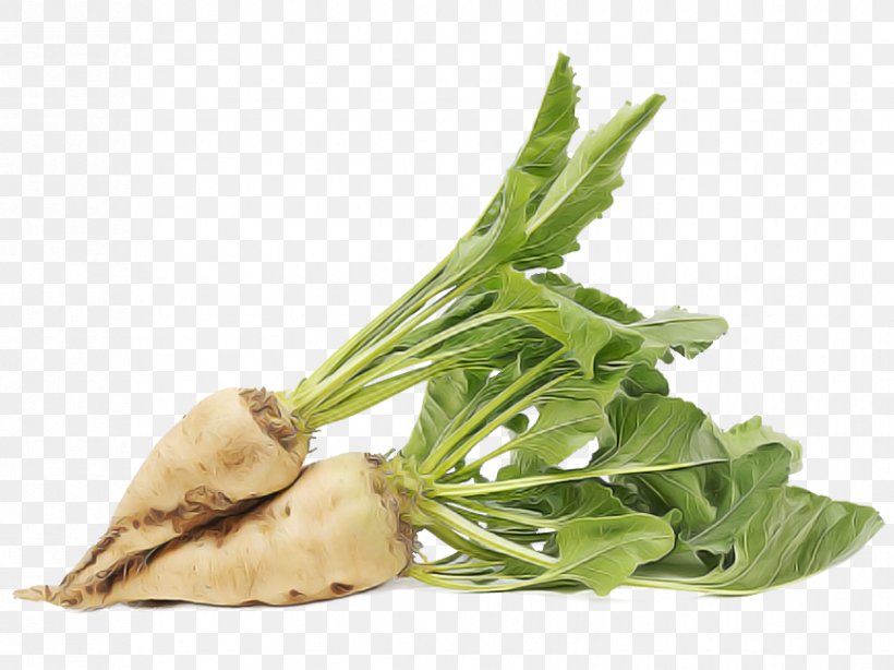 Food Plant Leaf Vegetable Leaf Vegetable, PNG, 865x648px, Food, Herb, Leaf, Leaf Vegetable, Plant Download Free