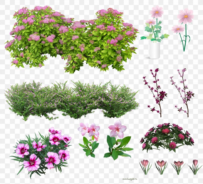 Cut Flowers Shrub Clip Art, PNG, 2952x2675px, Flower, Annual Plant, Branch, Cut Flowers, Flora Download Free