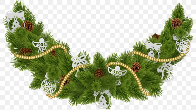 Fir Christmas Ornament Spruce Christmas Tree Pine, PNG, 800x462px, Fir, Branch, Branching, Christmas, Christmas Decoration Download Free
