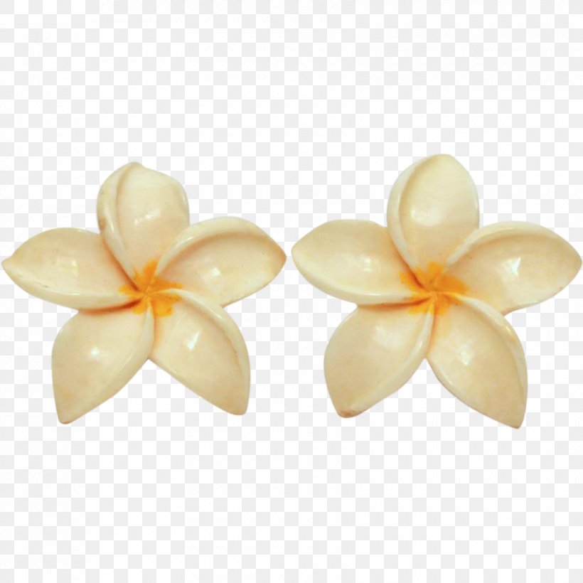 Frangipani Flower Petal Plumeria Hawaiian Jewelry Earring, PNG, 840x840px, Frangipani, Blossom, Body Jewellery, Body Jewelry, Earring Download Free
