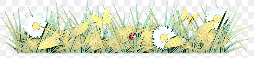 Grasses Plant Stem Grain Plants, PNG, 2999x687px, Grasses, Cut Flowers, Flower, Grain, Plant Download Free