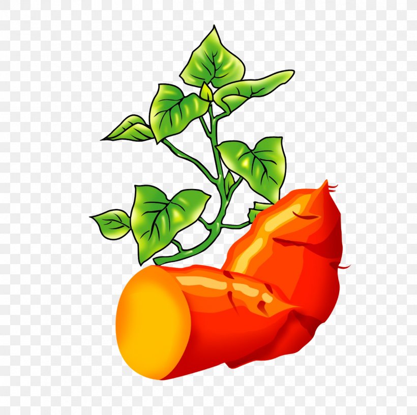 Roasted Sweet Potato Vegetable Food Clip Art, PNG, 1249x1245px, Sweet Potato, Baking, Cartoon, Cooking, Dioscorea Alata Download Free