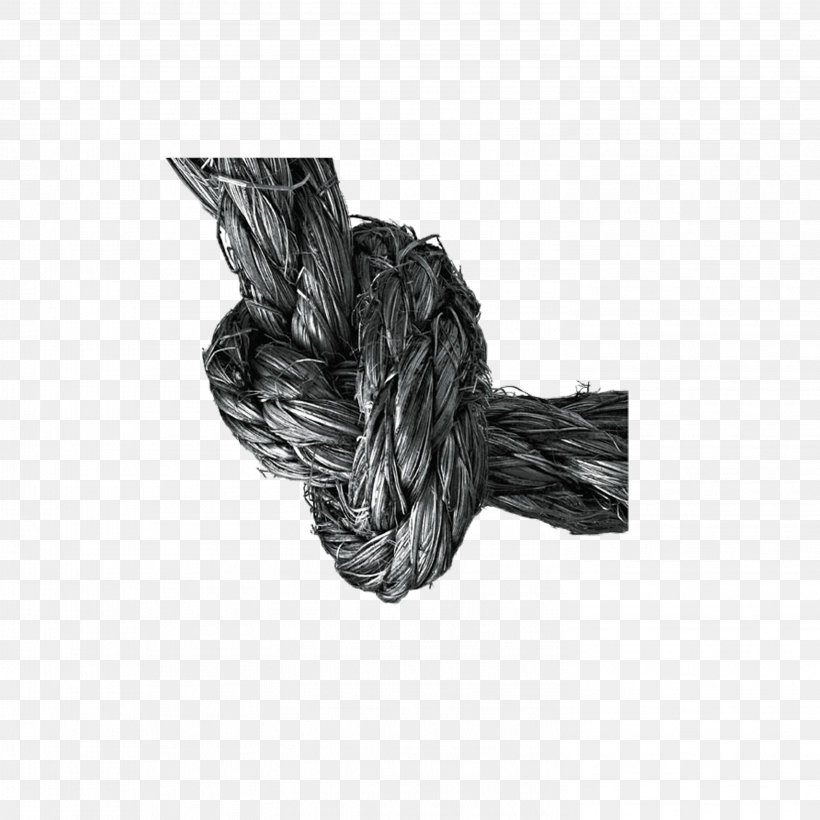 Rope Knot Painting, PNG, 2953x2953px, Rope, Advertising, Black And White, Butterfly Loop, Creativity Download Free