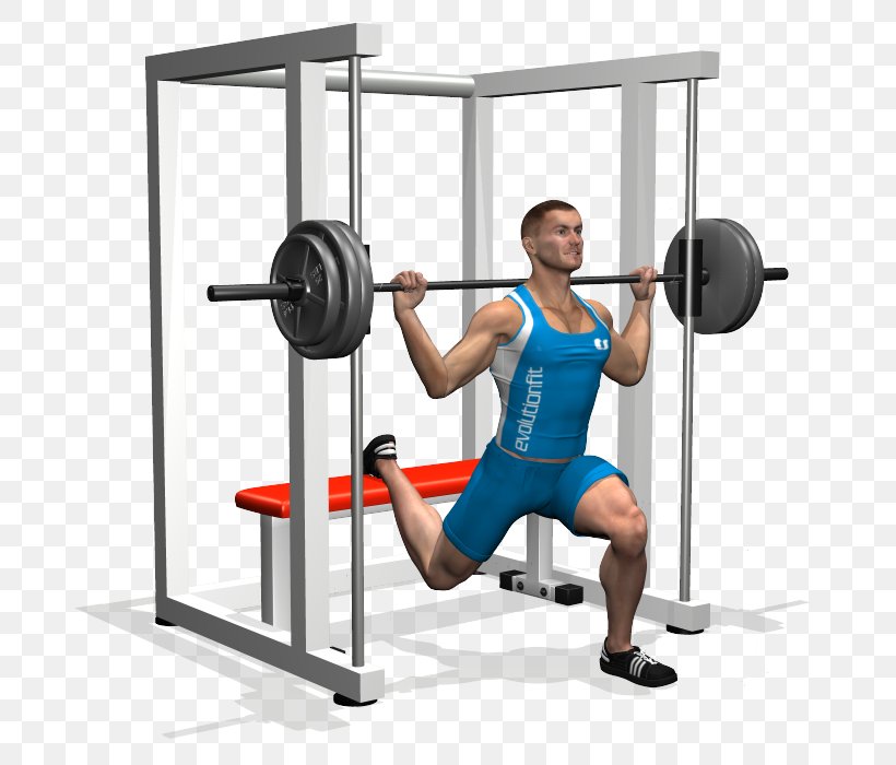 Squat Bench Press Exercise Quadriceps Femoris Muscle, PNG, 700x700px, Squat, Abdominal External Oblique Muscle, Arm, Balance, Barbell Download Free