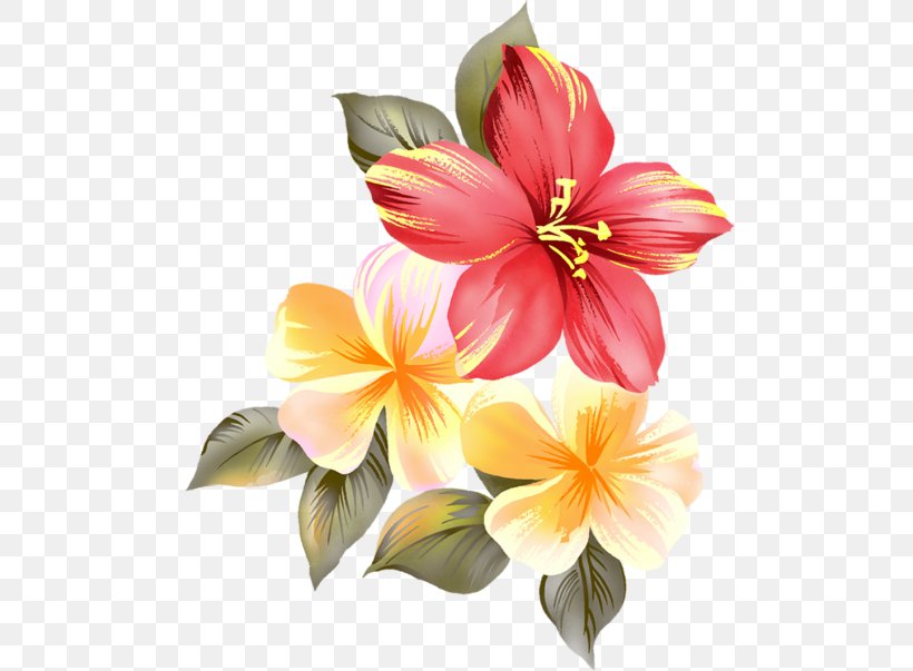 Cut Flowers Shoeblackplant, PNG, 500x603px, Flower, Alstroemeriaceae, Cut Flowers, Floral Design, Flowering Plant Download Free