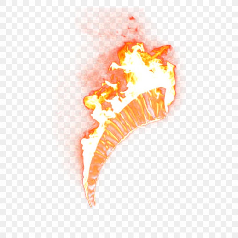 Light Flame Fire, PNG, 2362x2362px, Watercolor, Cartoon, Flower, Frame, Heart Download Free