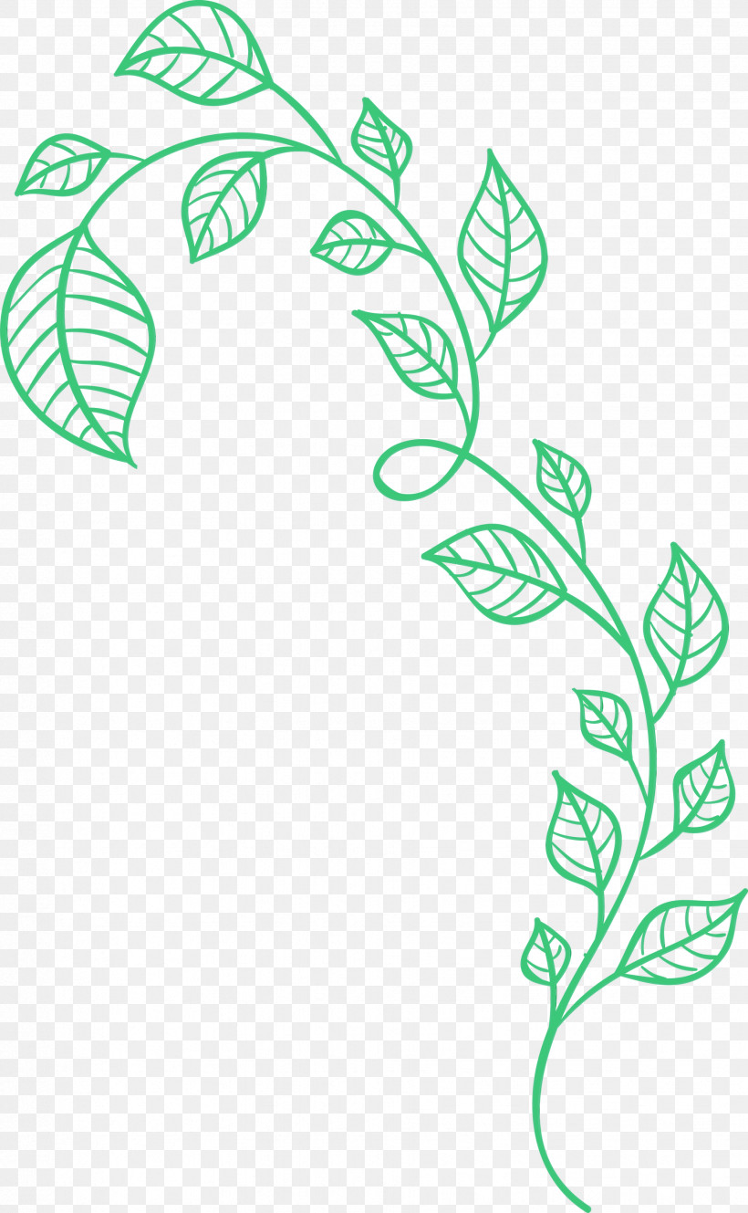 Line Art Leaf Green Plant Plant Stem, PNG, 1851x3000px,  Download Free