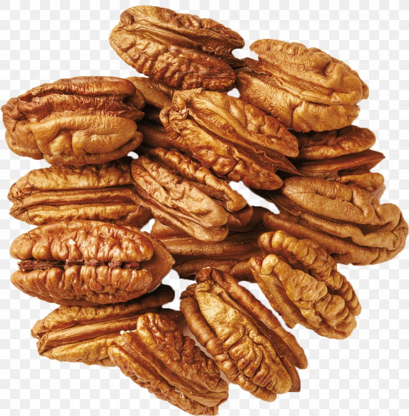 Pecan Nut Dried Fruit Almond Pistachio, PNG, 1074x1093px, Pecan, Almond, Butter Pecan, Cashew, Cookie Download Free