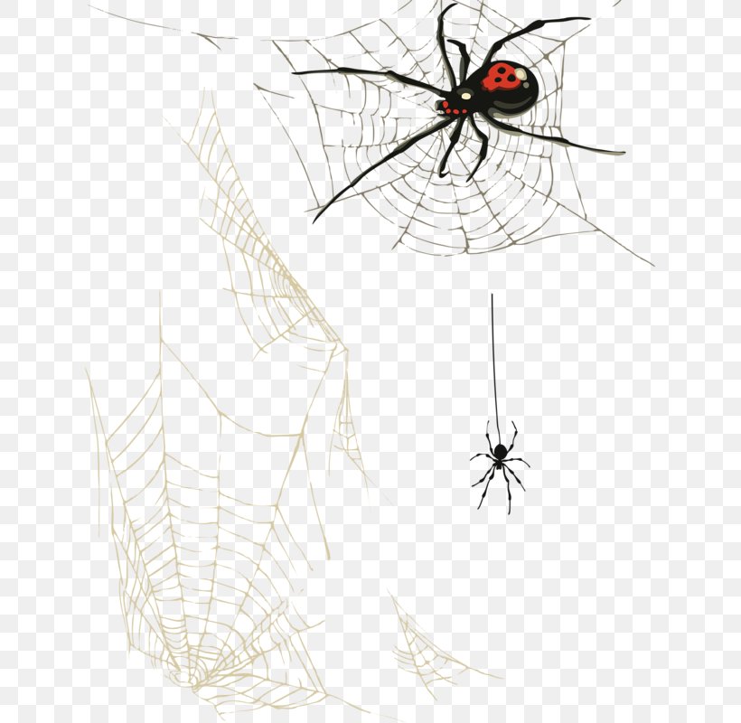 Spider Web Clip Art, PNG, 633x800px, Spider, Arthropod, Insect, Invertebrate, Membrane Winged Insect Download Free