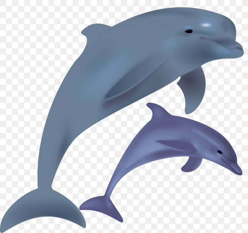 The Bottlenose Dolphin Clip Art, PNG, 2400x2257px, Bottlenose Dolphin, Blog, Common Bottlenose Dolphin, Dolphin, Drawing Download Free