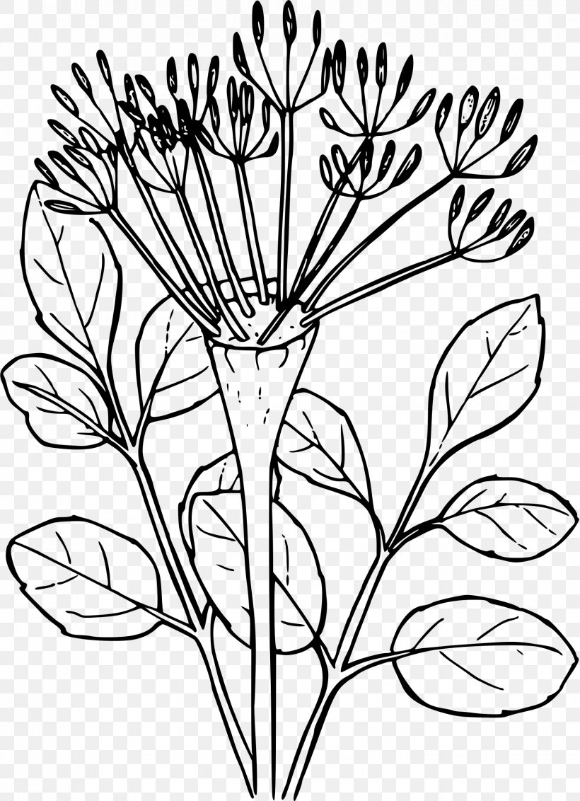 Desert Xerocole Drawing Clip Art, PNG, 1737x2400px, Desert, Black And White, Branch, Color, Coloring Book Download Free