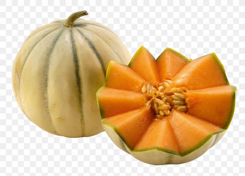 Cavaillon Melon Cantaloupe Food Vegetable, PNG, 1024x738px, Cavaillon, Calabaza, Cantaloupe, Cucumber, Cucumber Gourd And Melon Family Download Free