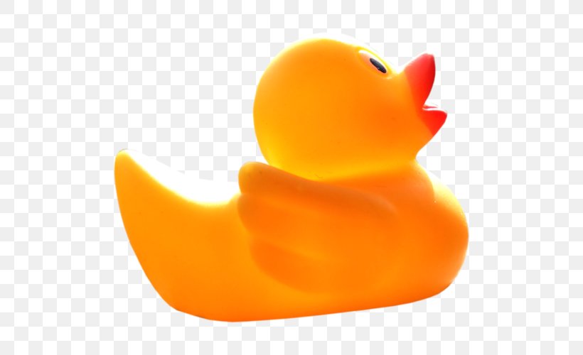 Duck Beak, PNG, 500x500px, Duck, Beak, Bird, Ducks Geese And Swans, Orange Download Free