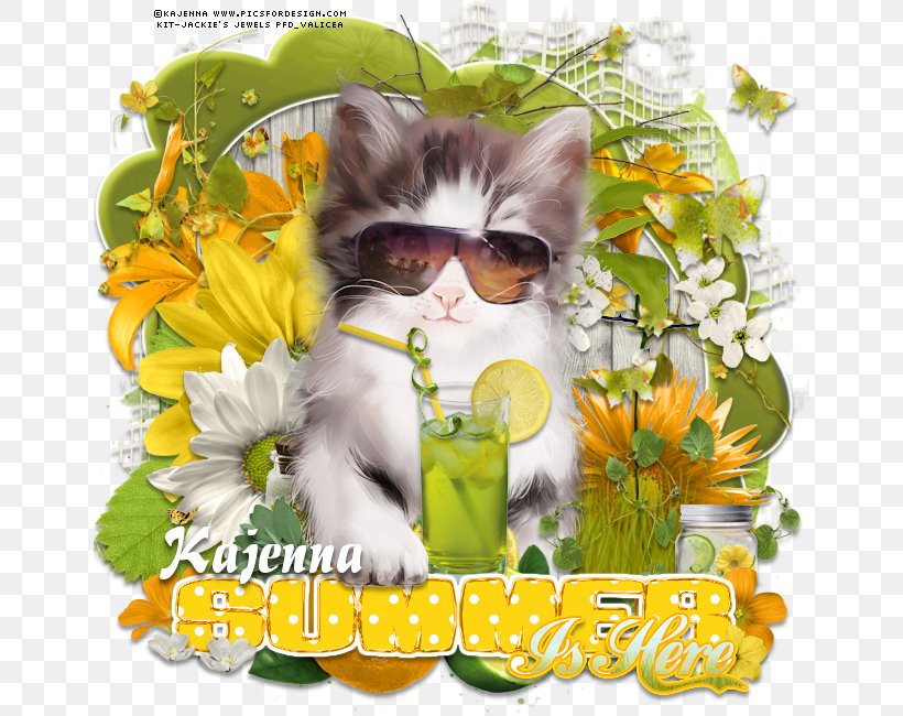 Kitten Cat Whiskers Photomontage Flower, PNG, 650x650px, Kitten, Carnivoran, Cat, Cat Like Mammal, Flora Download Free