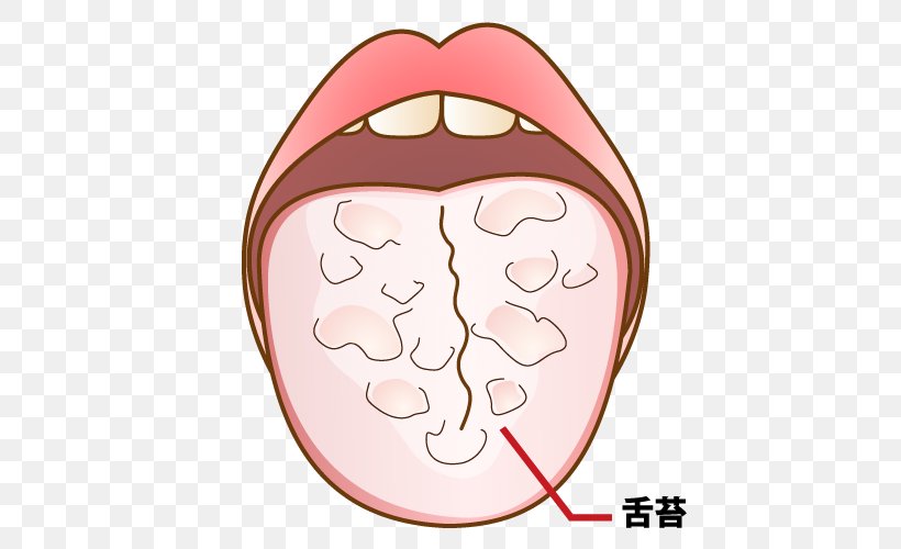 Mouthwash 歯科 Dentist 坂井医院 Tooth Decay, PNG, 500x500px, Watercolor, Cartoon, Flower, Frame, Heart Download Free