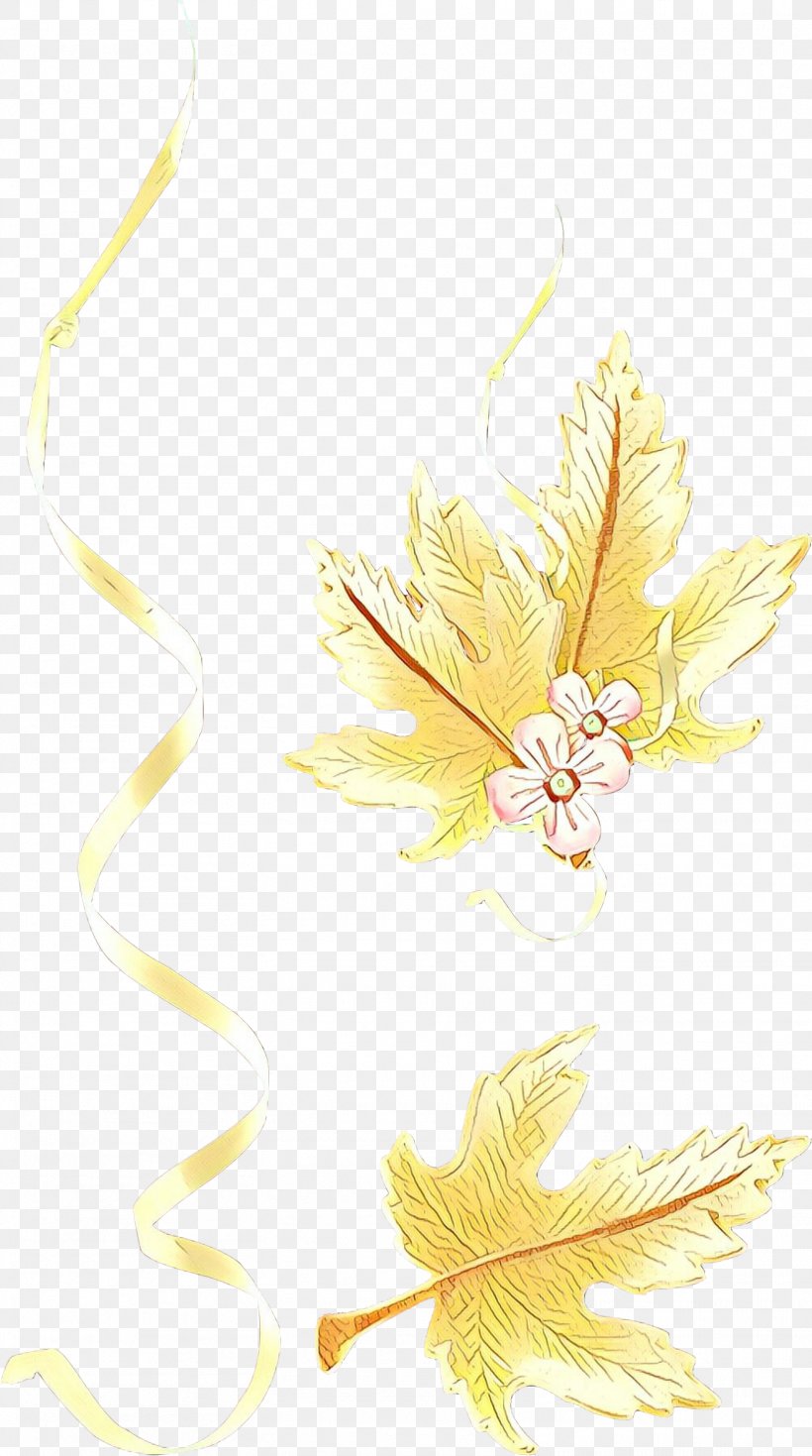 Feather, PNG, 1562x2799px, Cartoon, Feather, Leaf, Plant, Wing Download Free