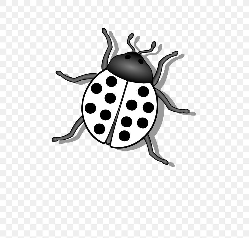 Beetle Ladybird Clip Art, PNG, 555x785px, Beetle, Animal, Animation, Black And White, Drawing Download Free